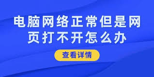 網絡正常卻無法打開網頁 網絡與信息安全軟件開發的重要性